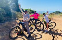 E-Mountain Bike & Wine Tour from Marbella to Sierra Blanca