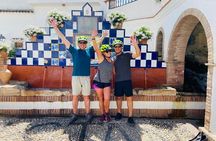 E-Mountain Bike & Wine Tour from Marbella to Sierra Blanca