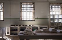 Alcatraz Day Tour and San Francisco Bay Cruise