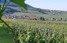 Safari-Tour Villages and vineyard, 1/2 day afternoon