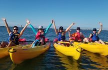 Kayak Paddling Experience at The Bay Park