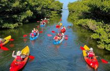 Kayak Paddling Experience at The Bay Park
