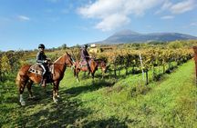 Horseback Riding on Vesuvius