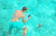Eco Saona Island Excursion from Punta Cana