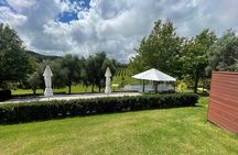 Kumeu Wine Tour