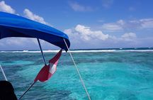 Snorkel HolChan Shark Ray Alley and Caye Caulker Manatee Spotting