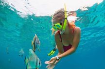 Blue Lagoon Snorkeling and Lunch with Tukad Cepung Waterfall