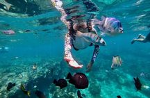 Bali Blue Lagoon and Tanjung Jepun Snorkeling with All Inclusive