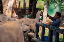 Udawalawe National Park Safari with Elephant Transit Home Visit