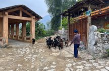 Trekking Ban Gioc Waterfall to Hidden Village on Unique Route 