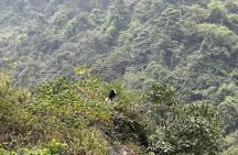 Trekking Ban Gioc Waterfall to Hidden Village on Unique Route 