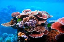 2 To 5 Hours Glass Bottom Boat Private Tour At Read Sea