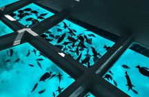 2 To 5 Hours Glass Bottom Boat Private Tour At Read Sea