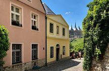 Private Day Trip to the Medieval Town of Kutna Hora
