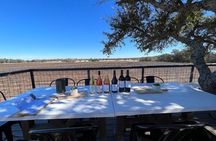 Wine Tour Pros - Fredericksburg Texas Wine Tour Up to 10 people