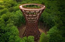 Mønsklint, Forest Tower and Forgotten Giants -Private Tour