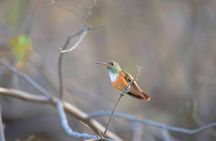 Birdwatching & Landscaping Tour in Lima