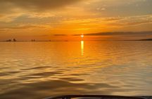 Private Boat and Dolphin Watching in Florida