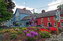 Easy Access Blarney Stone and Castle Gardens Tour 
