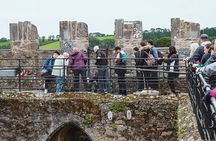Easy Access Blarney Stone and Castle Gardens Tour 