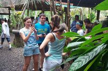 Combo Ubud ATV Quad Bike and Kintamani Volcano Tour All Inclusive