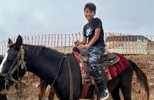 Ensenada City Tour on Ford T Replica and Beach Horse Back Riding 