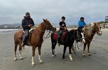Ensenada City Tour on Ford T Replica and Beach Horse Back Riding 