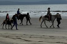 Ensenada City Tour on Ford T Replica and Beach Horse Back Riding 