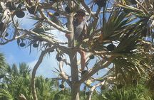 Bermudian Cooking Class" and Walking Shared Tour