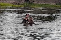 Sunset Cruises on the Zambezi River