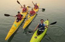 Private Hoi An Bike and Kayak Guided Tour with Lunch 