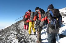 8 Days Mt Kilimanjaro Climb - Lemosho Route