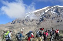 8 Days Mt Kilimanjaro Climb - Lemosho Route