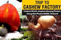 Uncover the Magic of Phuket City Tour