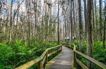 Ultimate Florida Self Guided Driving & Walking Audio Tour Bundle