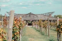 Winery and Tasting Experience in Buenos Aires
