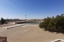 Arab-Roman day : Privat Trip @ *kairouan & *El Jem + *Museum
