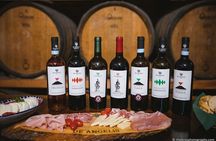 2-hour tasting of 5 wines in Sorrento