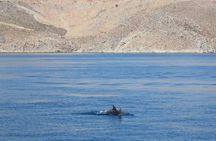 The Santa Maria 3 Island Cruise in the Aegean w/ Free Audio Guide