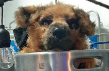 Brixton Craft Brewery Tour