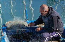 Photo Tour of the Secrets of Palermo