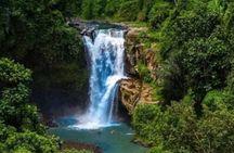 Tanah Lot Temple Tour with Ubud Highlights