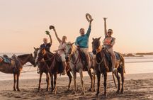 Horseback Riding Tour. Beach and Ocean View.