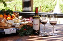 Moment Tour Tasting Icon
