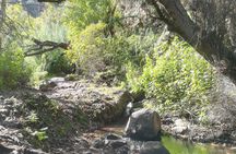 Full day Hiking and Waterfalls Experience