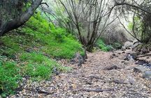 Full day Hiking and Waterfalls Experience