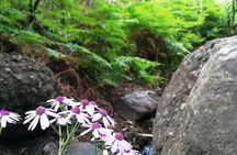 Full day Hiking and Waterfalls Experience