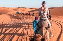 Desert Tour From Marrakech To Merzouga 3 Days 