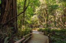 SF, Muir Woods, Sausalito w/ Optional Alcatraz