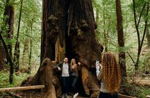 S.F, Muir Woods and Sausalito + Optional Alcatraz